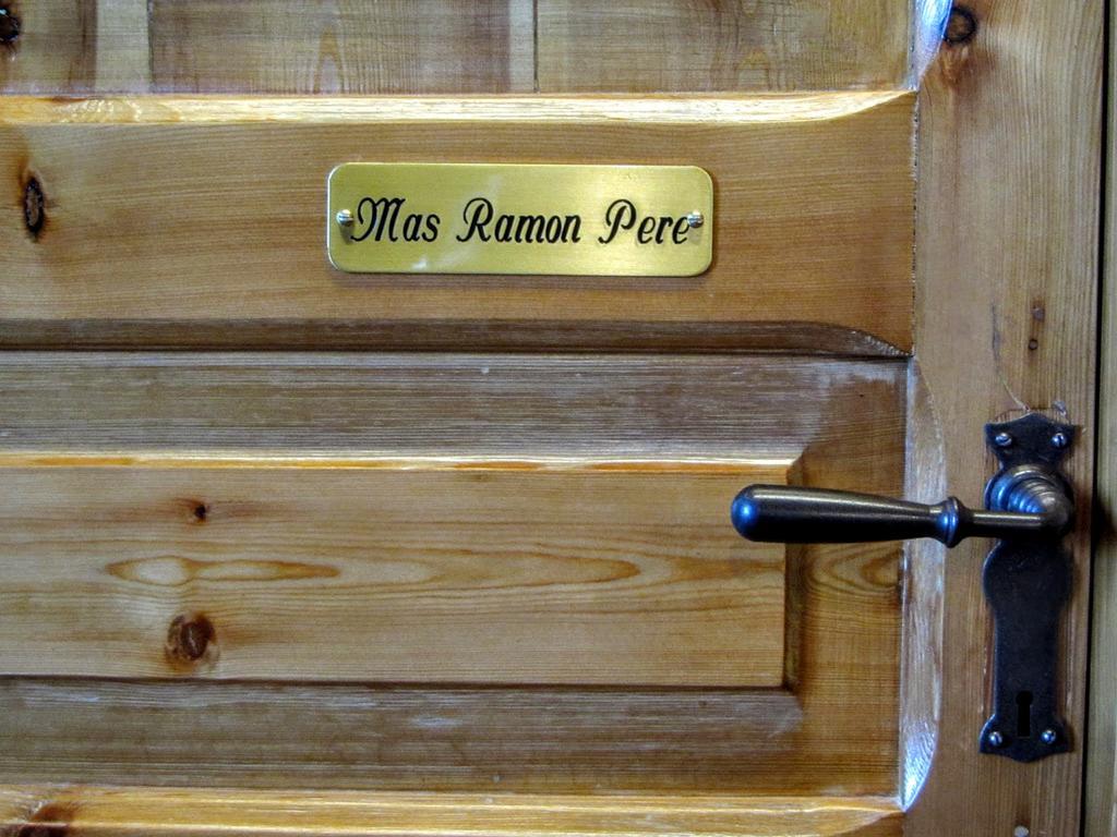 Mas Pineda Villa Oix Room photo